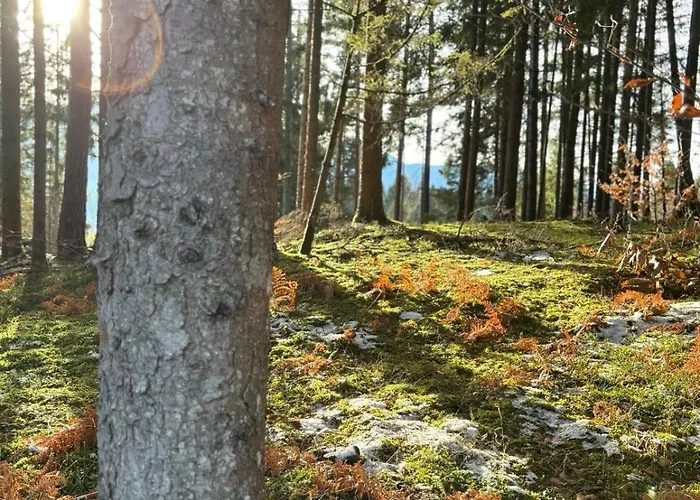 Eco-chalet Matschiedl